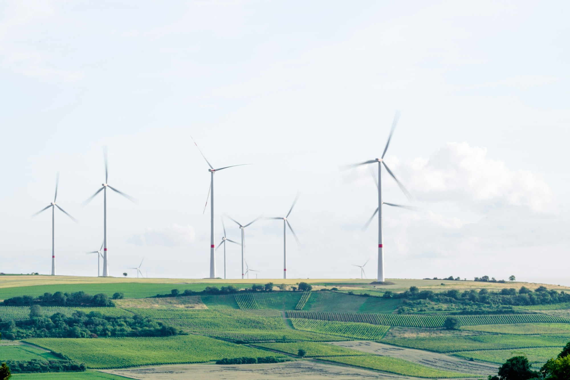 Wind turbines in a green field