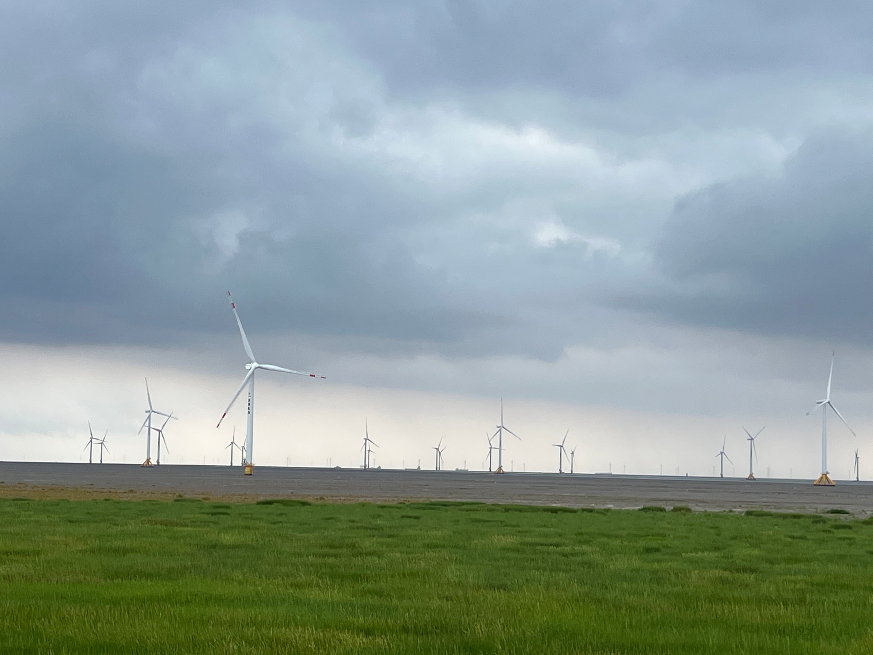 如东潮间带风电场，江苏