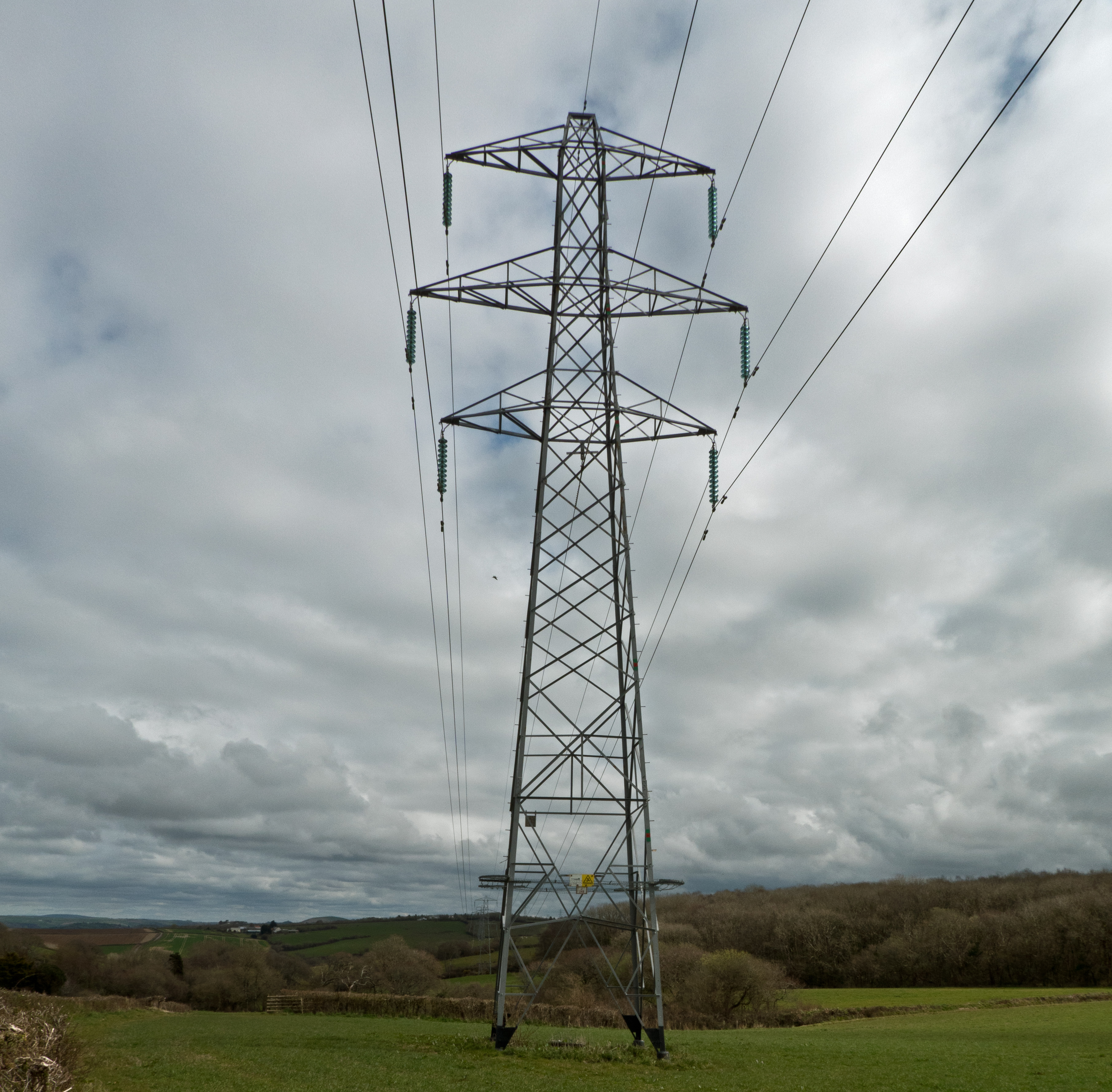 National Grid transmission pylon between Yelland and Alverdiscott substation, Devon