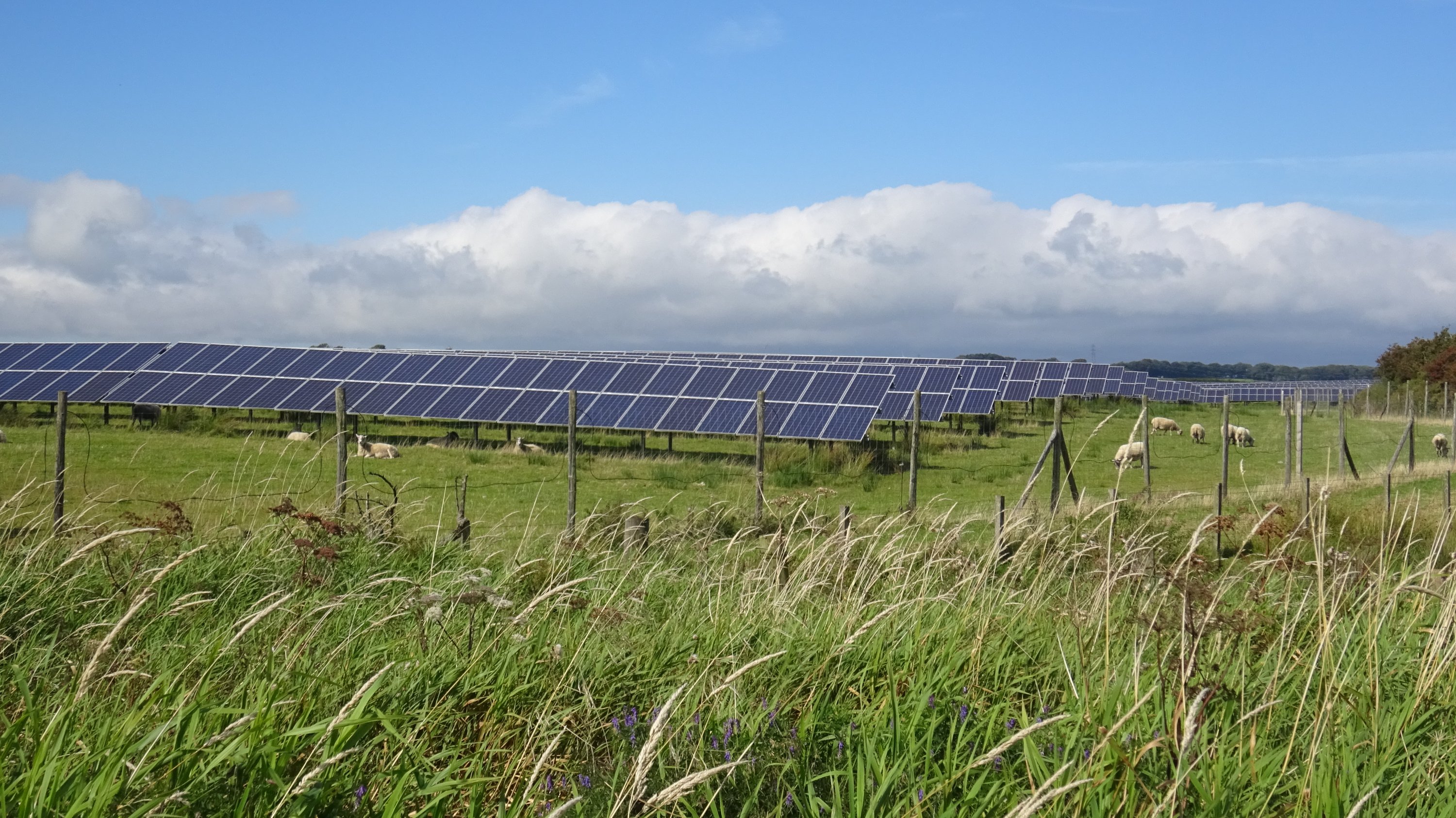 Ground-mounted solar PV array at Kilwinning Solar Farm in North Ayrshire, Scotland